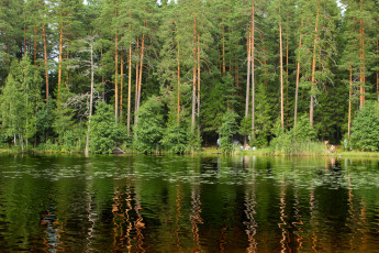 обоя озеро, щучье, комарово, санкт, петербург, природа, реки, озера, лес