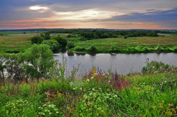 Картинка природа реки озера трава берега река луга лес равнина