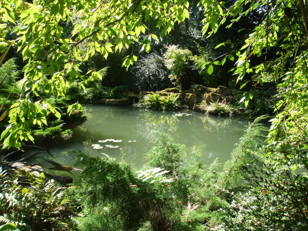 Обои картинки фото secret, garden, blenheim, palace, англия, природа, парк, растения, пруд