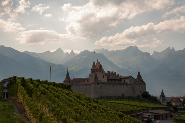 Обои картинки фото aigle, castle, switzerland, города, дворцы, замки, крепости, горы, виноградник, альпы, швейцария, alps, замок, эгль