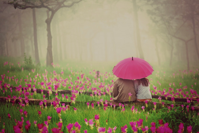 Обои картинки фото разное, мужчина женщина, цветы, зонт