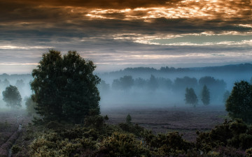Картинка природа пейзажи туман поле