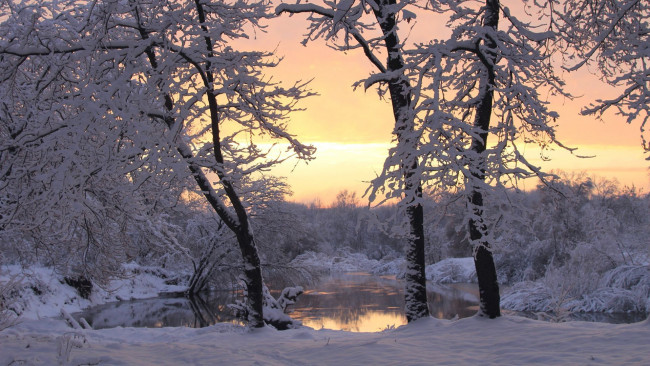 Обои картинки фото природа, зима, снег, деревья, река