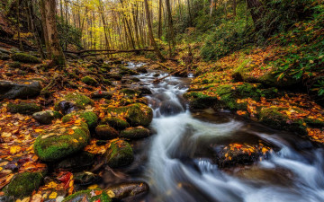 Картинка природа реки озера водопад осень деревья лес