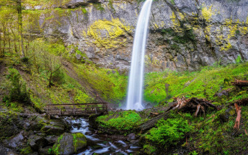 Картинка природа водопады скала upper oneonta waterfalls водопад columbia river gorge