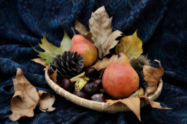 Обои картинки фото еда, груши, каштаны, шишки, осень, листья