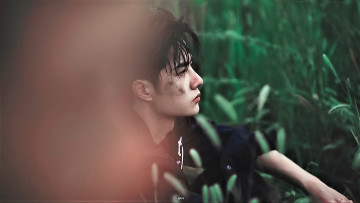 Картинка мужчины wang+yi+bo актер лицо трава