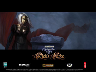 Картинка neverwinter nights witch wake видео игры
