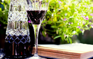 Картинка еда напитки вино бокал книга хрусталь наливка графин