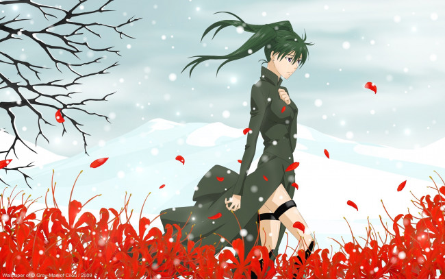 Обои картинки фото аниме, gray, man, холод, ветки, красные, цветы, лепестки, снег, девушка