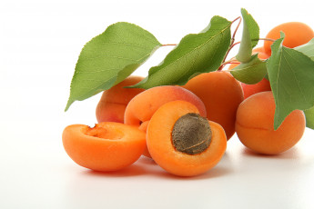 Картинка еда персики сливы абрикосы косточковые