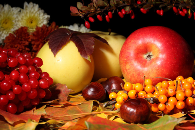 Обои картинки фото еда, фрукты, ягоды, дары, осени
