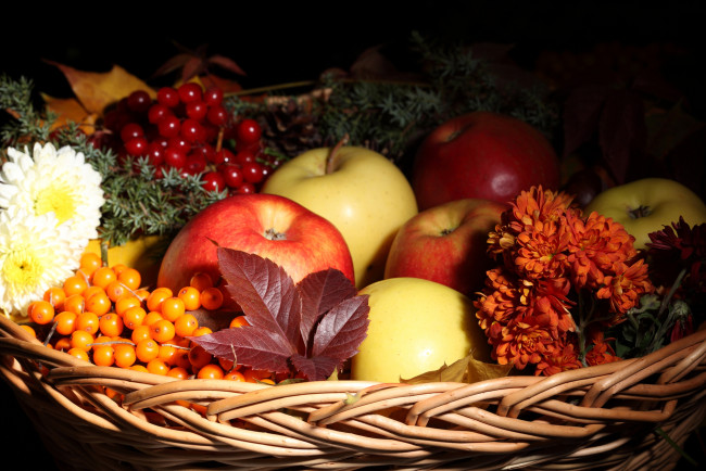 Обои картинки фото еда, фрукты, ягоды, яблоки, рябина