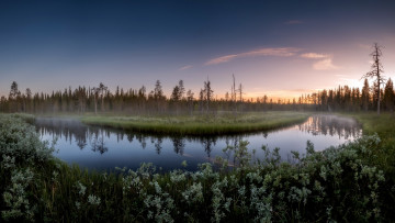 Картинка природа реки озера утро река туман лето лес