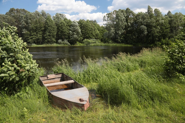 Обои картинки фото корабли, лодки,  шлюпки, деревья, лес, лодка, вода, озеро, природа