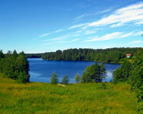Картинка природа реки озера озеро деревья