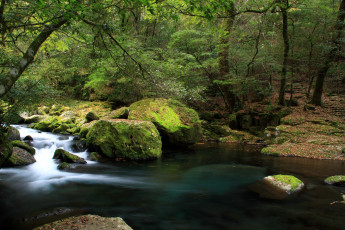 Картинка природа реки озера камни лес вода