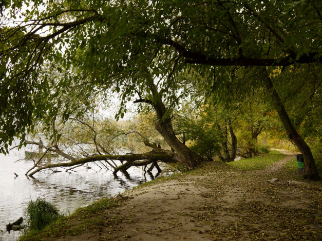Обои картинки фото природа, деревья, лодка, река, рыбаки