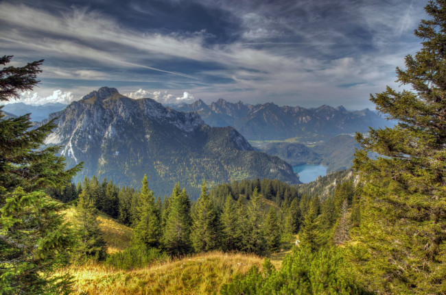 Обои картинки фото баварские, альпы, природа, пейзажи, озеро, деревья, ели, лес