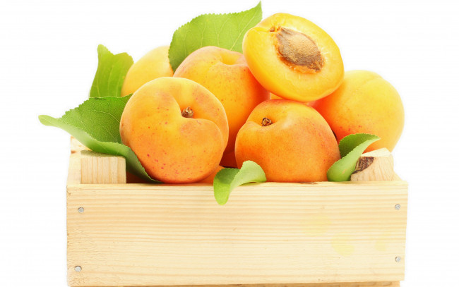 Обои картинки фото еда, персики, сливы, абрикосы, фрукты