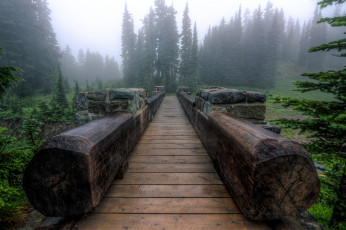 обоя природа, дороги, лес, туман, мост