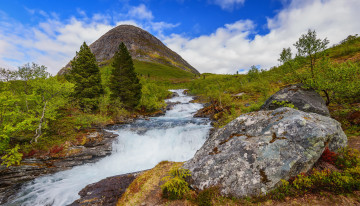 Картинка природа водопады поток камни деревья трава река гора небо норвегия