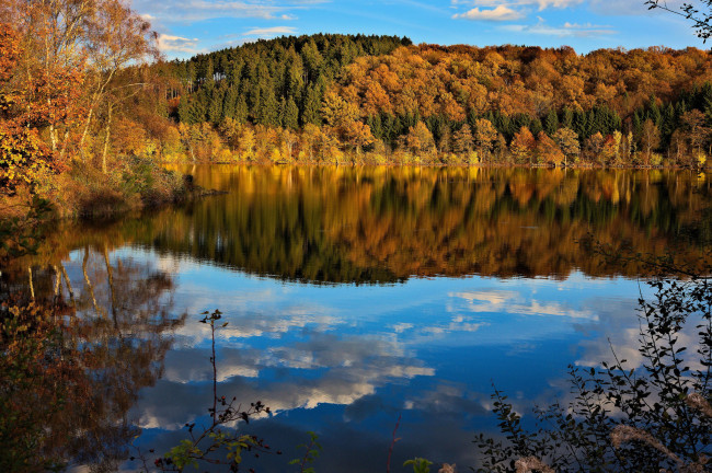 Обои картинки фото природа, реки, озера, лес, река, осень