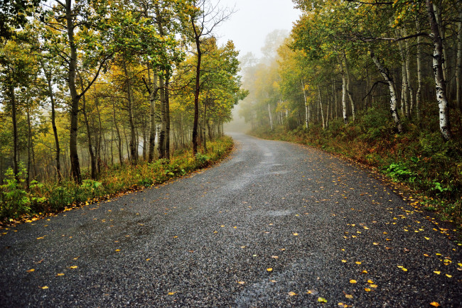 Обои картинки фото природа, дороги, осень, лес, шоссе