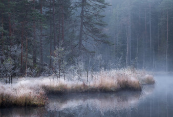 Картинка природа лес река туман осень