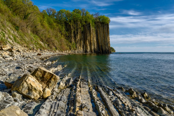 Картинка природа побережье скалы море лес