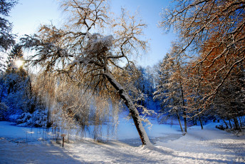 Картинка природа зима ручей снег деревья лес
