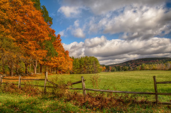 Картинка природа пейзажи поле лес осень