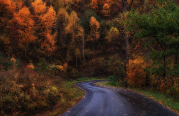 Картинка природа дороги осень шоссе лес