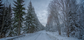 Картинка природа дороги дорога зима лес