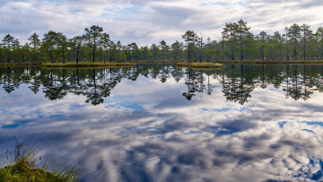 Картинка природа реки озера озеро деревья отражение облака водная гладь