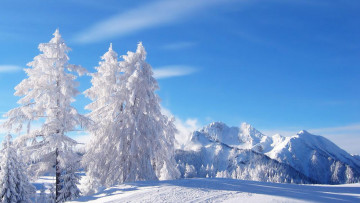 Картинка природа зима горы деревья снег