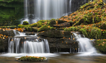 Картинка природа водопады водопад сетл yorkshire dales national park йоркшир-дейлс англия северный йоркшир england north settle осень листья мох камни scaleber force