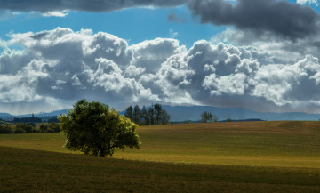 Картинка природа пейзажи небо пейзаж дерево облака