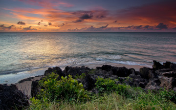 Картинка природа побережье пейзаж закат море