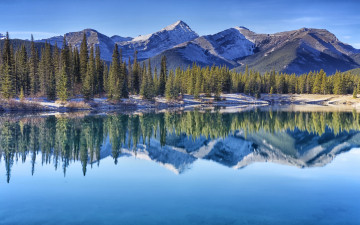 Картинка природа реки озера canadian rockies canada kananaskis country forgetmenot pond alberta альберта кананаскис канадские скалистые горы канада озеро деревья отражение