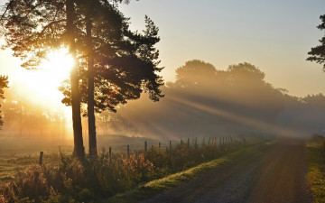 Картинка природа восходы закаты утро дорога лучи дерево туман