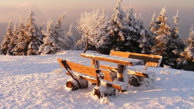 Обои картинки фото природа, зима, снег, деревья, туман, склон, площадка, скамейки, стол