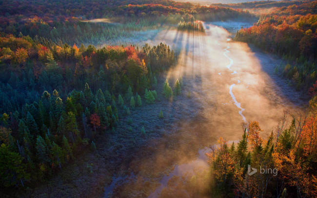 Обои картинки фото природа, восходы, закаты, осень, лучи, закат, река, деревья, лес, сша, вермонт, green, mountain, national, forest, beaver, meadow