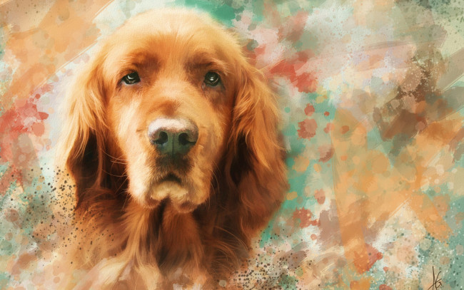 Обои картинки фото рисованное, животные,  собаки, мазки, рисунок, портрет, морда, рыжая, собака, картина, живопись
