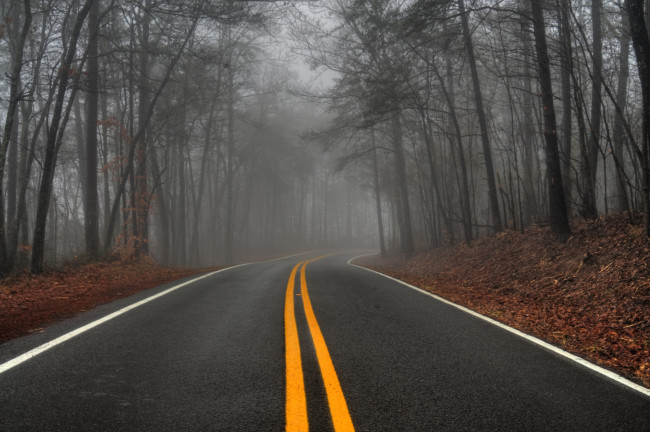 Обои картинки фото природа, дороги, лес, осень, туман, шоссе