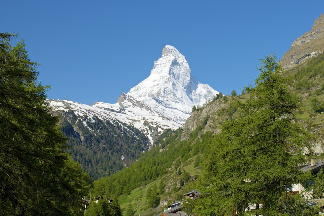 Обои картинки фото природа, горы, склон, снег, деревья, гора, маттерхорн, альпы, швейцария