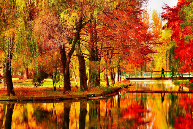 Обои картинки фото природа, парк, деревья, осень, мост, пруд