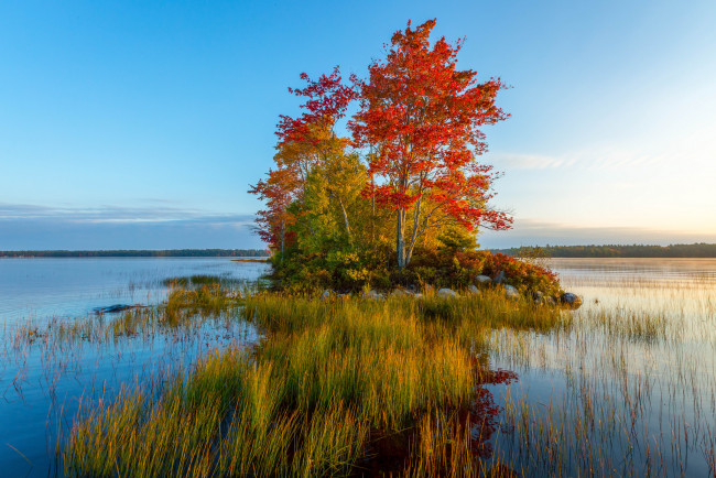 Обои картинки фото природа, реки, озера, островок, река, осень, лес