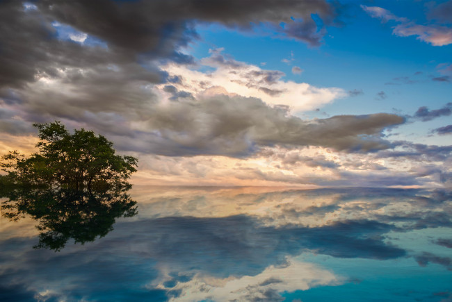 Обои картинки фото природа, реки, озера, облака, небо, голубое, бирюзовое, гладь, вода, дерево, озеро, отражение