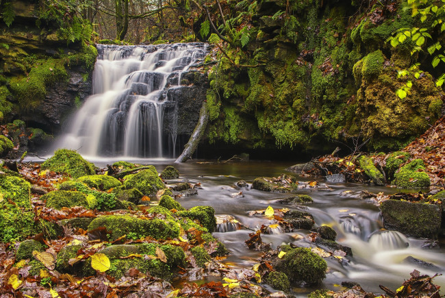 Обои картинки фото природа, водопады, england, west, yorkshire, todmorden, gorpley, clough, falls, осень, водопад, англия, западный, йоркшир, тодморден, листья, мох, каскад